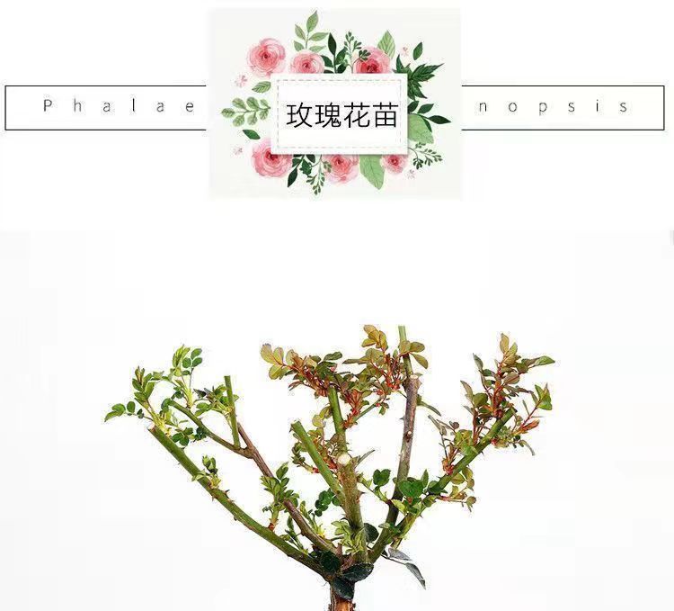 c654c40d-cfae-4be8-9f89-5e18c91a23f6.jpe