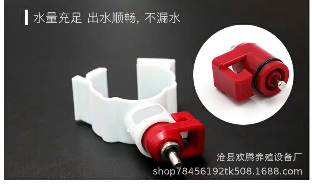 QQ图片20200416224032
