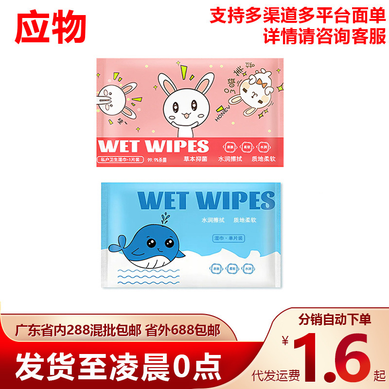 Disinfectant Wipes for Intimate Areas, 1 Piece Pack, for Cleaning and Hygiene, Wholesale and Dropshipping