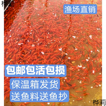 ���~�^�p�~��ˮ�\��С���~���~�J���~����~���]ҊԔ������