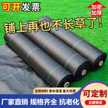 ݲݲrڲݲ@䌣õĤزwݲ@