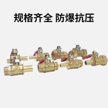 ȫҎ��t��С���y �S�~С���y ������y �p����z1��2��3��4��E18