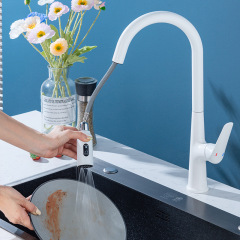 Single Bathroom White Kitchen Pull-out Spray Gun Gun Grey Hot and Cold Vegetable Basin Sink Swivel Extendable Faucet