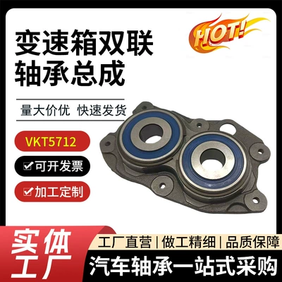 and Four-Wheel Drive Vehicle Drive – Bearing