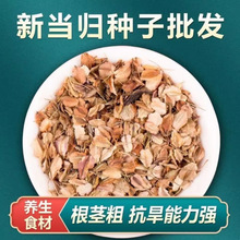 ���w�N�� �����w�N�� �𮔚w�N�� �ɚw Ắ��w ���󃞻ݸ߳�ѿ��