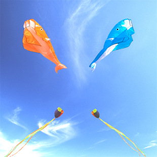 Weifang Hongyun Kite Wholesale Bronzing Carp Mother Shark Plate Fish Goldfish Swallow Mermaid Octopus Octopus