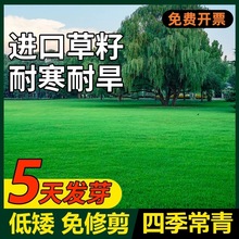 ��ƺ�����ļ����ఫ��ͥԺ���޼���̺��Ƥ�N���o�¹������ͺ��N��