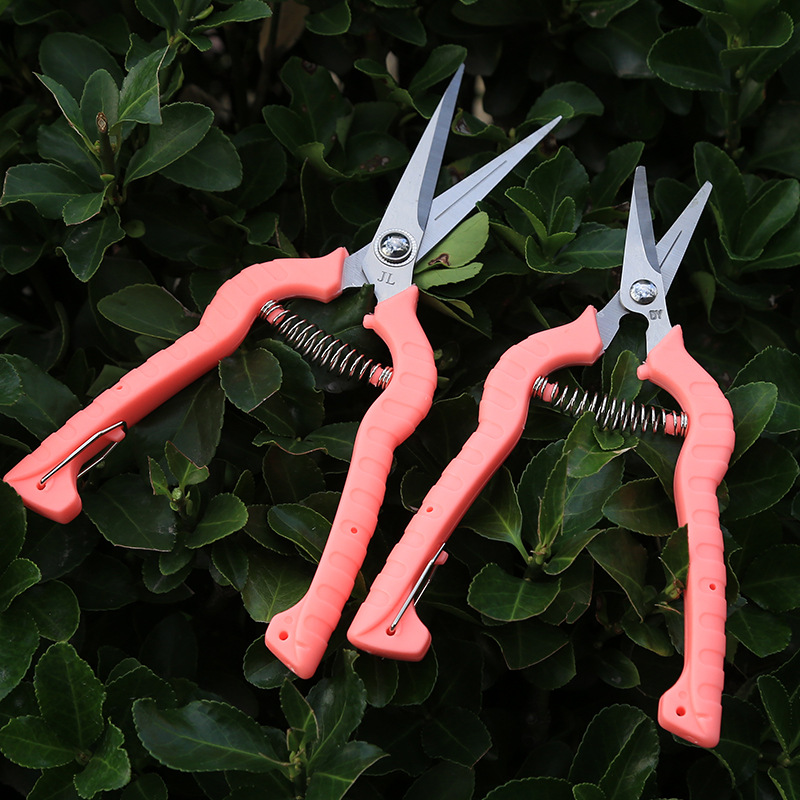 Huerto de fruta recoger cortadora de fruta recoger cortadora de frutas delgadas cortadora de verduras cortadora de frutas cortadora de uva cortadora de frutas cortadora de jardinería herramienta de poda