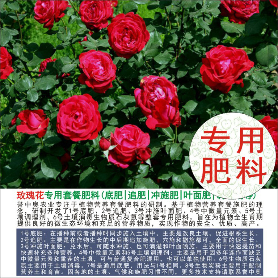 50�����а�õ�廨ר���л��ʸ��Ϸʵ׷�׷��Ҷ��ʳ�ʩ��ˮ�ܷ�