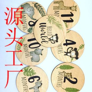 7-piece Set of Double-sided Printed Round Baby Month Divider Cross-border Wooden Printed Discs Kidsren's Milestone Commemoration