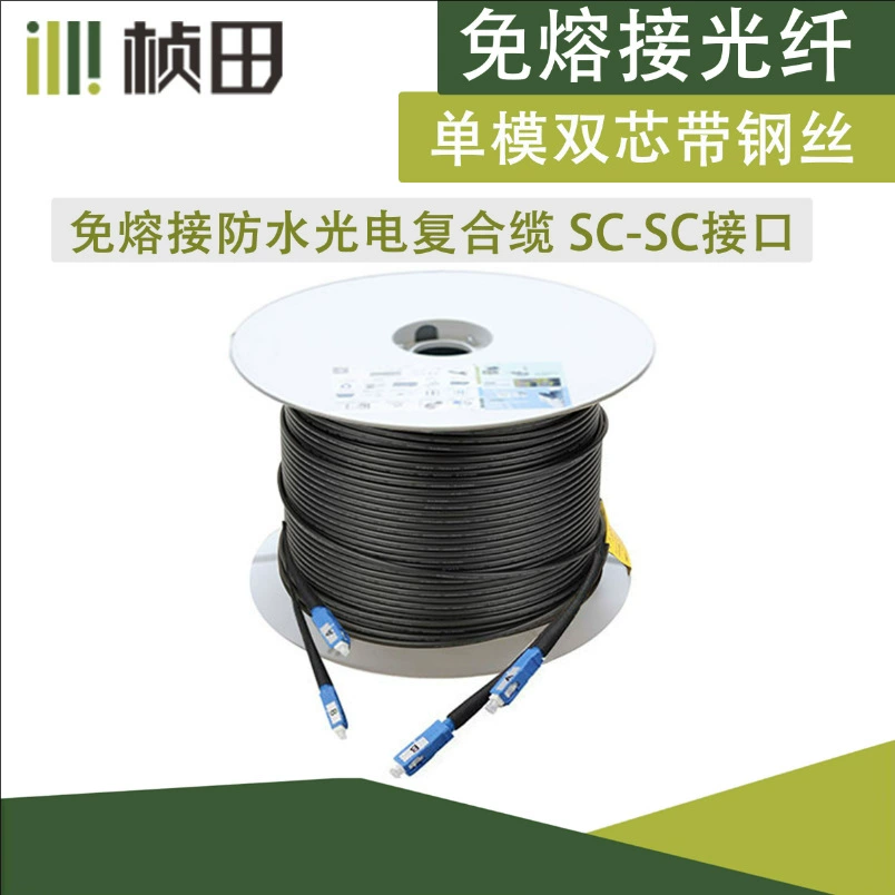 Zhen Tian 200m Бронированная стальная проволока, армированная одномодовым двухжильным волокном без сварки.