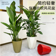 Diamond-shaped rhombus large flower pot for rent, minimalist luxury European style large green plant, Bird of Paradise for balcony, thick polygonal large size