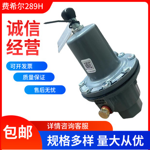 ȼ���O��p���y�Mϣ��fisher289H���I��Ȼ��й���y289H�������{ʽ