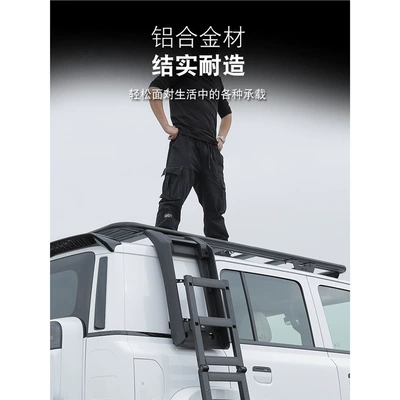 Roof rack — Ladder, Tent Modification Accessories