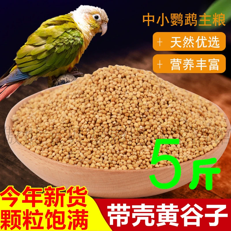 Зерна попугая с ракушкой Желтый Просо корм для птиц Рутин куриный корм рутин куриный корм Рутин куриный корм пион Xuanfeng горизонтального класса скорлупа просо