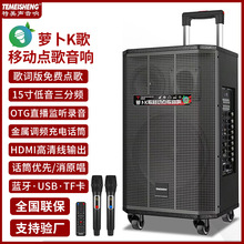 特美声大功率广场舞拉杆音响功放户外演出直播K歌U盘插卡蓝牙音箱