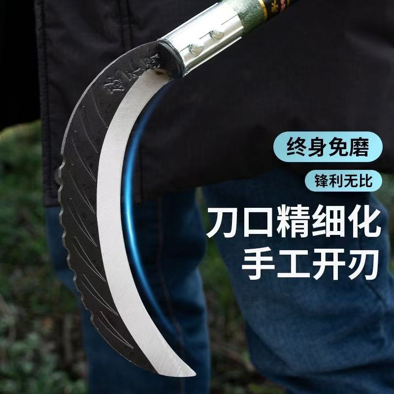 微信图片_20250414163926.jpg