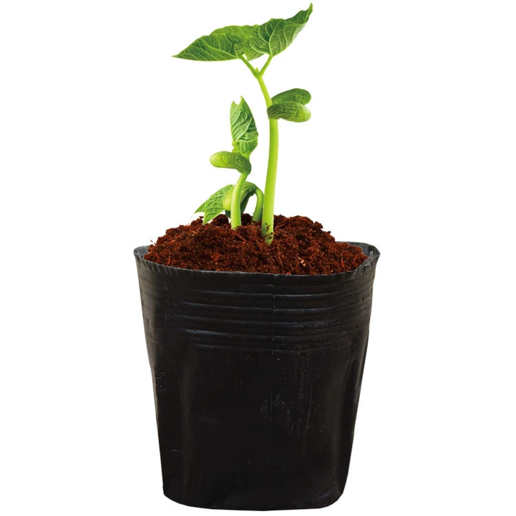 Посадочный мешок для рассады (grow bag), утолщённые чёрные пластиковые горшки, разные размеры для орхидей и овощей