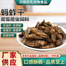 蚂蚱干自制鸟食饲料高蛋白专用饲料厂家直销面包虫烘干保鲜蝗虫干