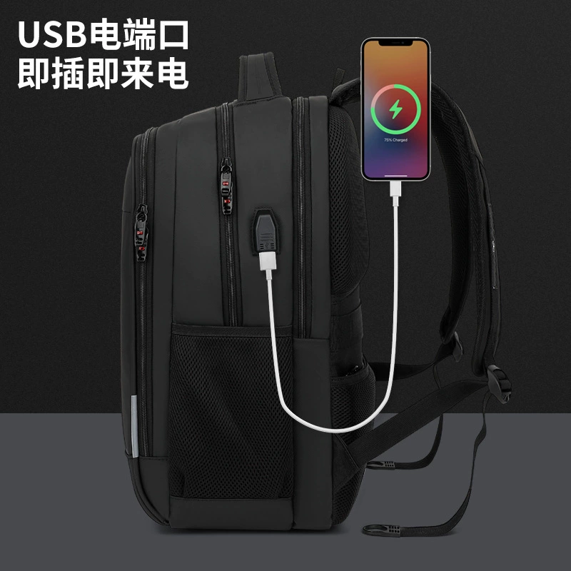 Capacious backpack, laptop for traveling, business version, 17.3inch