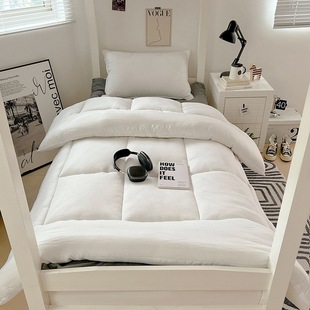 Simple Solid Color Quilt Core Student Dormitory Single Quilt Core Mattress Pillow Core Set Thickened Warm Quilt Batch