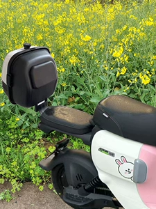 Ninebot electric scooter A2z35CA2z40A2z90A35+A30C+A60A80A90 rear trunk storage box