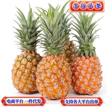 һ���������Ͻ������ǲ��ܹ�Ӧ���̸���ƽ̨֧��ȫƽ̨������