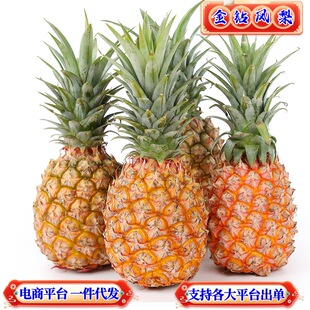 һ�����l���Ͻ���P��ǲ��}������̸���ƽ̨֧��ȫƽ̨����̖