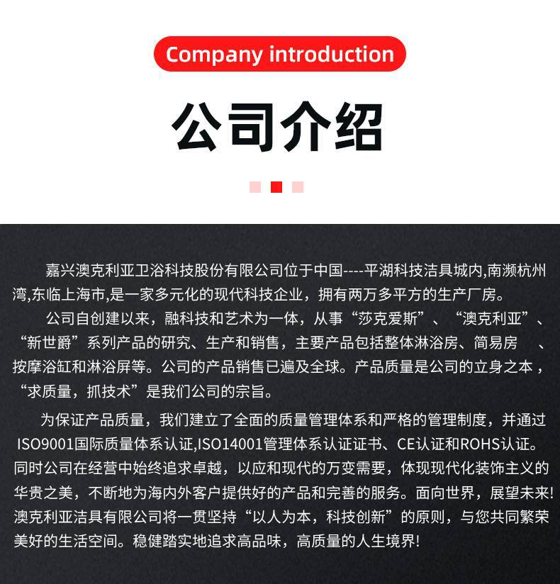 公司简介