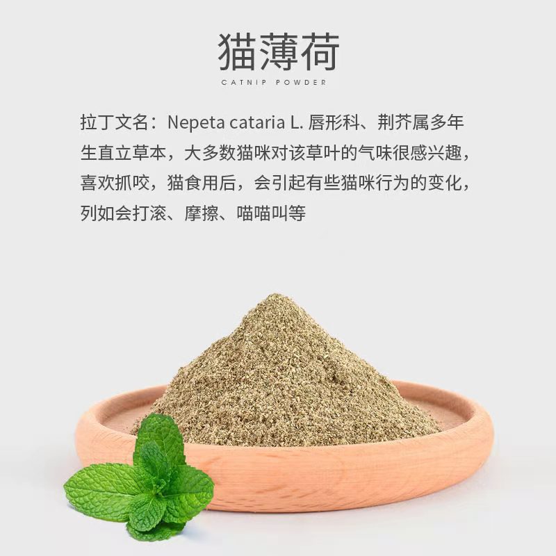 Cat Mint comestible, polvo de menta para gatos en bolsas, polvo de hierba para gatos para acariciar gatos, bocadillos para mascotas para gatos.