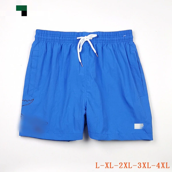 L06 blue