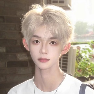 Wig Boys Short Hair Handsome Juvenile Differential Broken Cover Platinum Gay Men's Full Head Cover