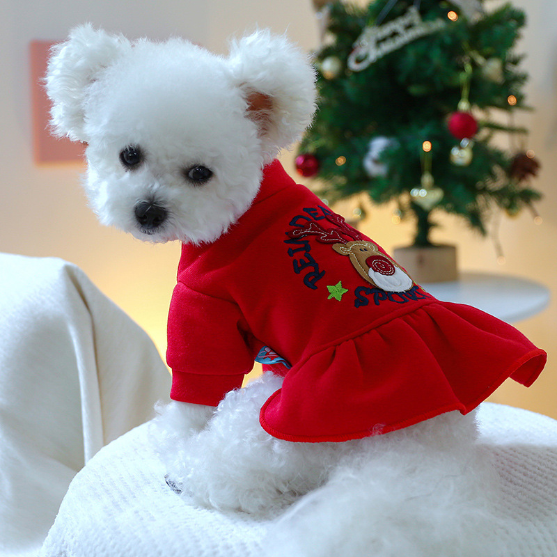 Cute Pet Outfit