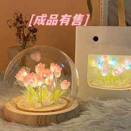小夜灯;树脂工艺品;水晶工艺品