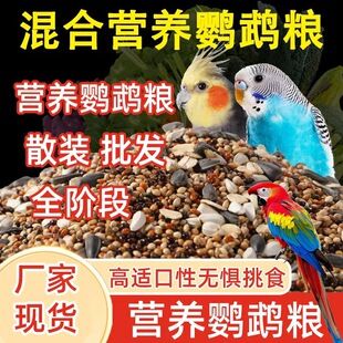 �W�^�B�Z���Zɢ�b ֧�ַ��N���l һ�����l �����Bʳ��������؛
