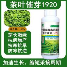 茶叶专用叶面肥 催芽剂 茶树催芽素生长素崔芽剂芽多多非复合肥料