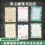 写字学生拼音英文练习纸