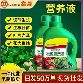 植物营养液通用型家用养花卉绿萝水培绿植多肉盆栽发财树液体肥料