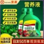多肉通用型盆栽液体营养液