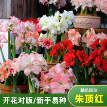�ذ���피t����ˮ�ʮ��N�������矟�p�����������ֺ��B���