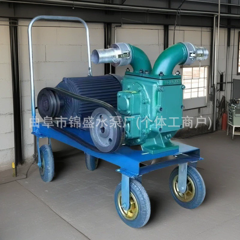 Специальный несмывающийся септик, канализационный насос, фекальный насос, фермерский вакуумный самовсасывающий насос