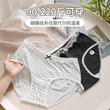 法式風蕾絲大碼內褲女200斤10A抑菌蠶絲襠波點印花少女運動三角褲