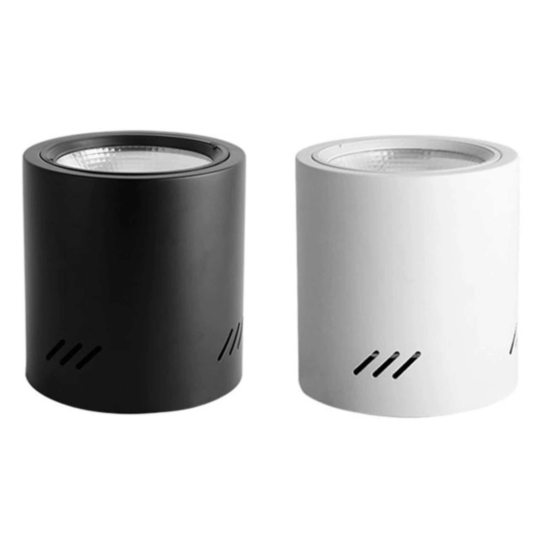 Mounted lights, LED accessories for hotel, ceiling light, 8inch, 30W