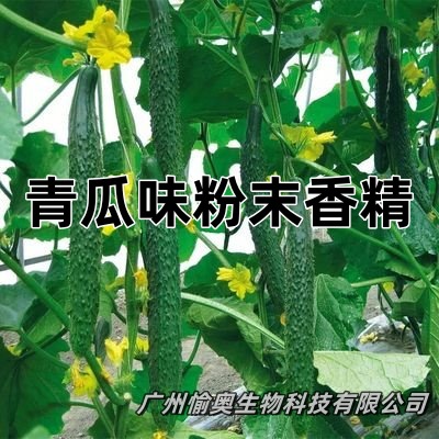 青瓜味粉末香精  黄瓜香精  增香 食品用香精