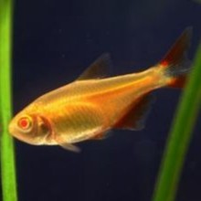 �^�p�~ �Ꭷ�~ �tʮ���~ ��ʹ�~ С���~