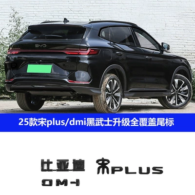 25 BYD Song plusdmi Window Şüşə kənarı xromları/moldingləri - 25-song-plusdmi-black-samurai-tail-markings