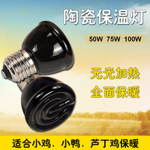 冠之亚芦丁鸡保温灯自动控温鹌鹑芦丁鸡保暖照明灯鸟用造景用品