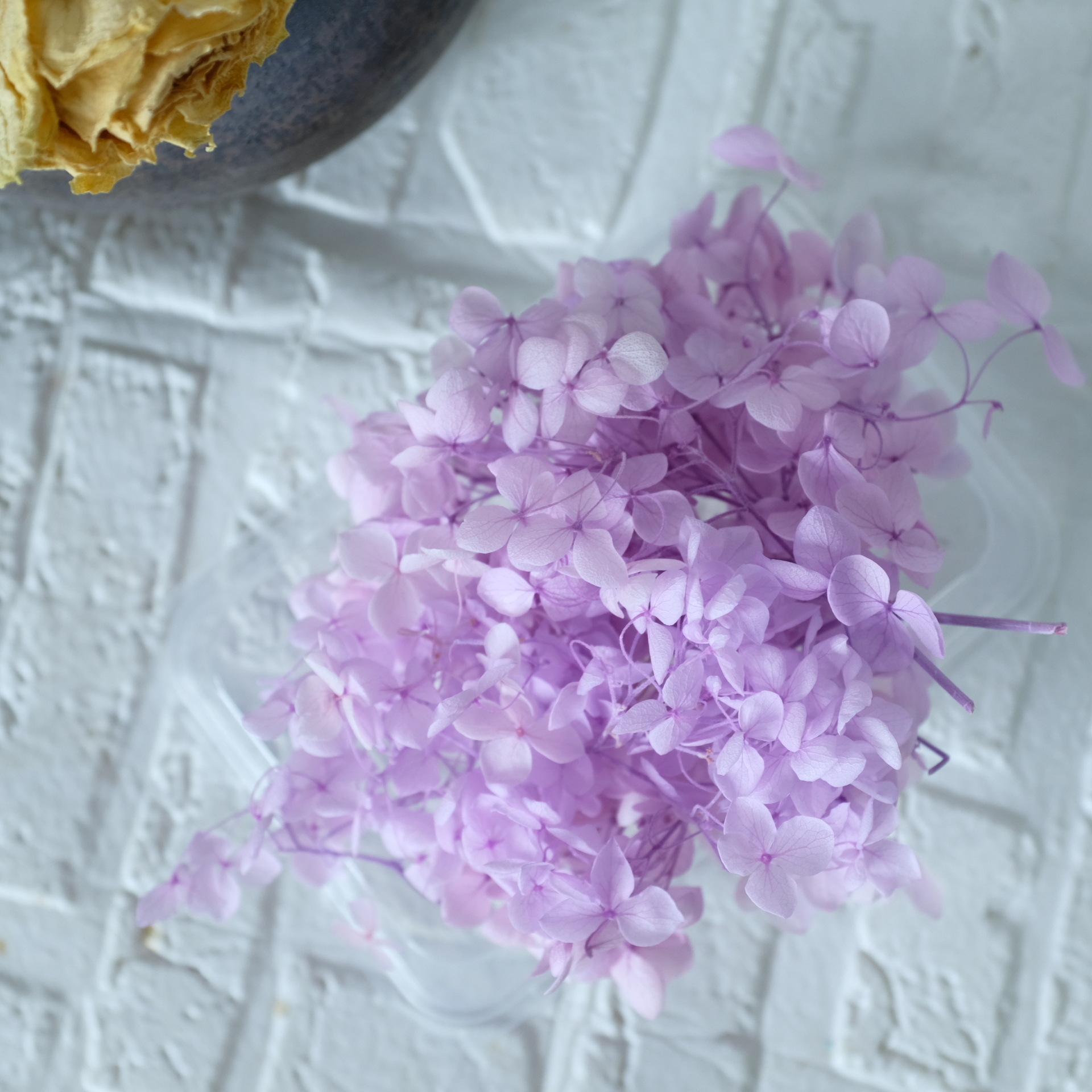 Taro violet / 5G en boîte