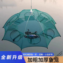 �r�\�O�W���r�W���~�\���r�W�Ӵւ����з�S�X���q�\�֒��O���~�W