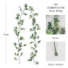 �������Gֲ�仨���ٗl�羳�Ҿ��b����ٗl�ͻ��������ֲ��